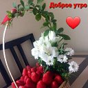 ���� ������, �������, 48 ��� - ��������� 1 ������ 2023