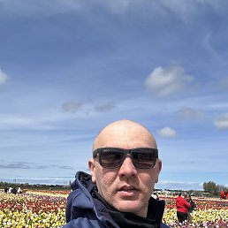 ���� �����, ���������, 43 ���� - ��������� 11 ��� 2024