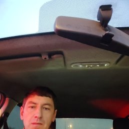 , 46, 