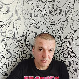 ������, 41 ���, ����