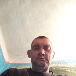 ��������, 42 ����, �������