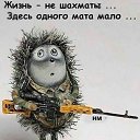 ���� ������, ������, 57 ��� - ��������� 25 ������� 2026 � ������ ������ ��������