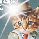 ���� Jexelag, ������� - ��������� 26 ���� 2025