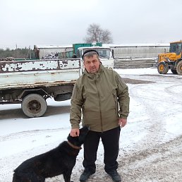 ���a, 51 ���, ������ �����