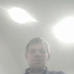 �����, �������, 43 ����