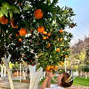 ���� ����, ������ ��������, 49 ��� - ��������� 25 ������� 2025 � ������ ���� ����������