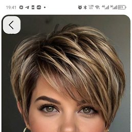 , 54, 
