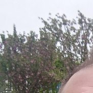 ������, 52 ����, ������