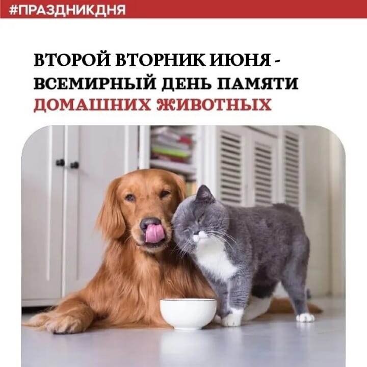 : , , , , , , , ,  - 2