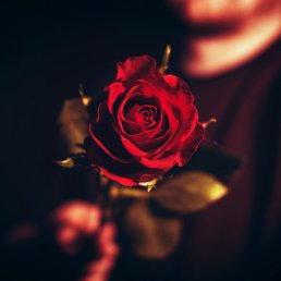 ���� ��������, ������, 43 ���� - ��������� 13 ������� 2023