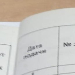 ������, ������, 33 ����