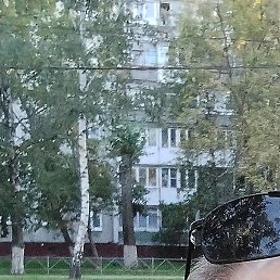 ��������, ������ ��������, 61 ���