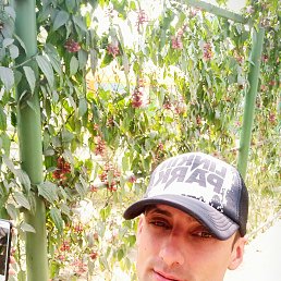 ���� ����, �����������, 36 ��� - ��������� 29 ��� 2024