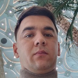 �����, �����-���������, 24 ����