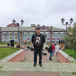 , 38, 