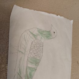 ���, �������, 37 ���