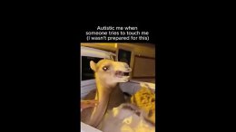 � ���� �� ����� ����� � ���������. �� ��������. ���� ������� �� ��� ��������� ���������. �� ������ ��� ��� ���SOS.