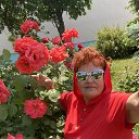 ���� �������, ������ - ��������� 26 ���� 2025