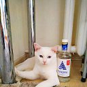 ���� Mister_den, ���� - ��������� 11 ���� 2024 � ������ ���� ����������