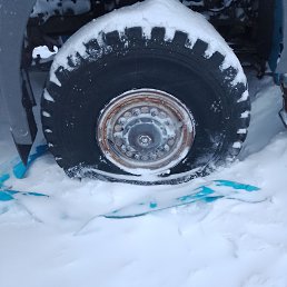 ���� �����, ����������, 37 ��� - ��������� 31 ������� 2025