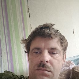 ������ �������, 43 ����, ��������