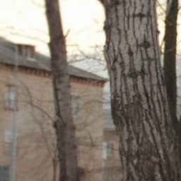 ��������, ���������, 53 ����