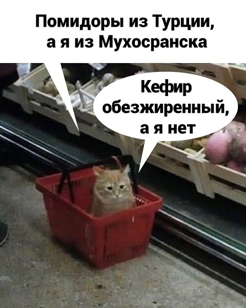       - 3  2025  11:26 - 2