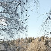 �����, 54 ����, ���������