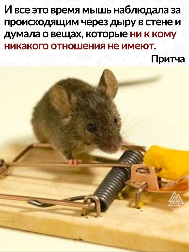  ,    ,        . ... - 3
