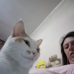, 29, 