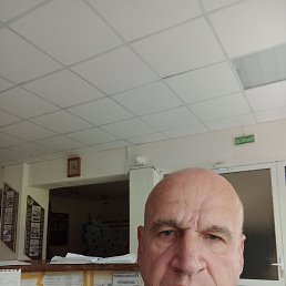 , 55, 