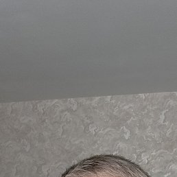 ������, 48 ���, ����