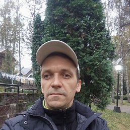 ������� ���������, 41 ���, ���������