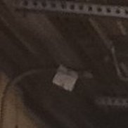 �������, 41 ���, ������