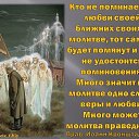 ���� ����, ����, 46 ��� - ��������� 31 ������� 2025 � ������ ���� ����������
