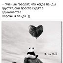 ���� ������, ������, 49 ��� - ��������� 28 ������� 2023 � ������ ���� ����������