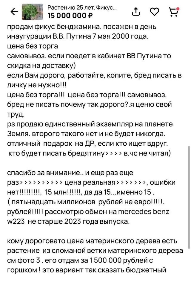  -     ,     ... - 2