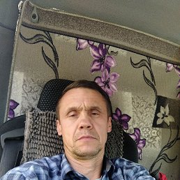 , 50, -