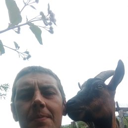 ����, 38 ���, ������