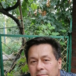 , 55 , 
