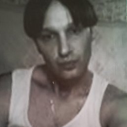 , 29, 