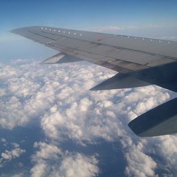 �����, �����, 50 ���