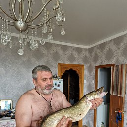 ���� ����, ������, 53 ���� - ��������� 10 ������ 2024