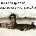 ���� ������, ���������, 62 ���� - ��������� 16 ������ 2025 � ������ ������ ��������