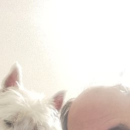 ��������� �������, ������, 61 ���