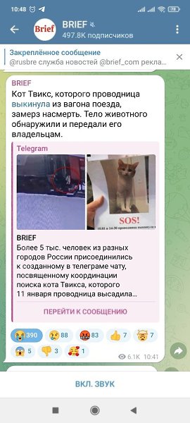 В память о коте Твиксе.Домой на поезде поехалВ январь морозный добрый кот.Он в поезде ни разу не ... - 3