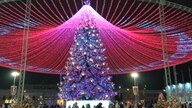 ���� �������, ����, 66 ��� - ��������� 7 ������� 2026 � ������ ���� ����������