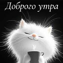 ���� Nik, ���������, 46 ��� - ��������� 12 ������ 2026 � ������ ���� ����������