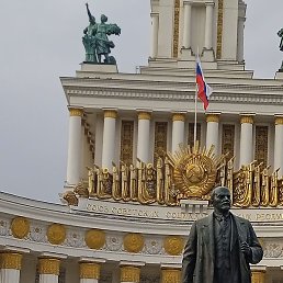 ������, ������ �����, 44 ����