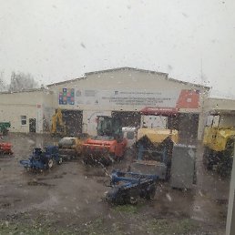 ���������, ������ ��������, 43 ����